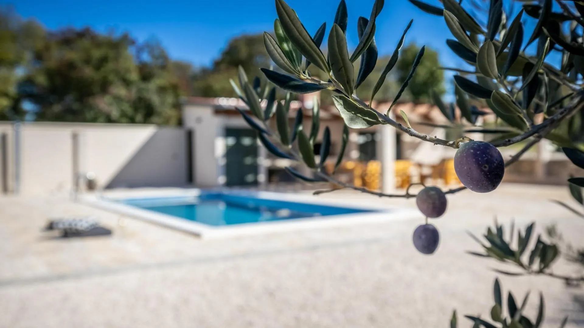 Villa Oliveto With Pool Donji Kasic Croatia